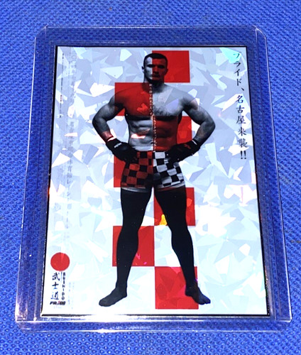 Mirko cro cop - cro,