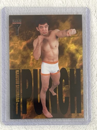Kazushi sakuraba 2001 sakurado - 2001,